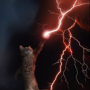 catstorm